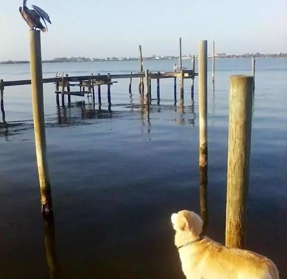 ホテル Paradise Cove at Lemon Bay