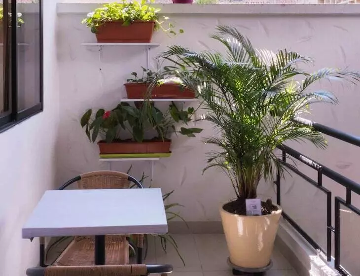 酒店 Quinta Avenida