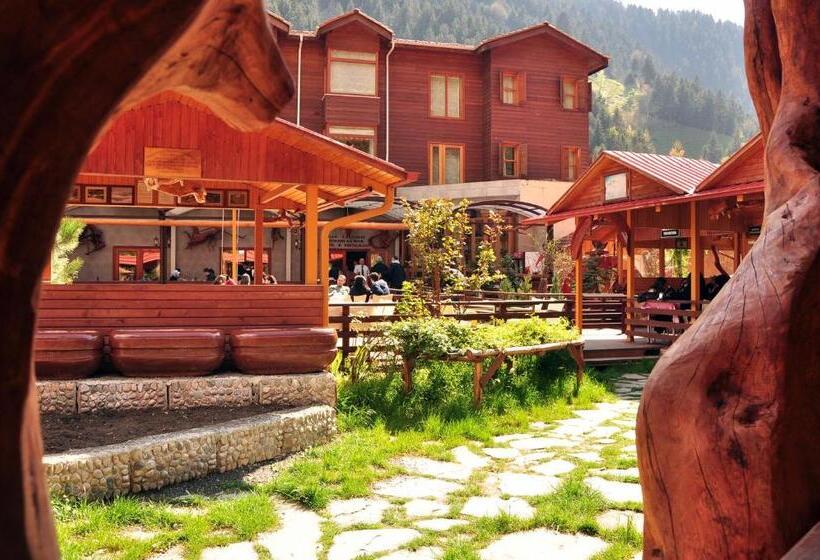 בית מלון כפרי Inan Kardesler