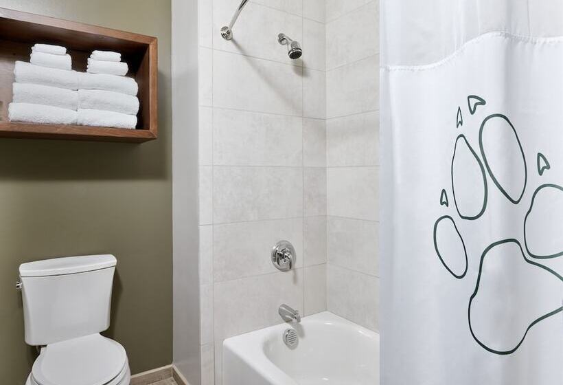 Resort Otel Great Wolf Lodge Concord