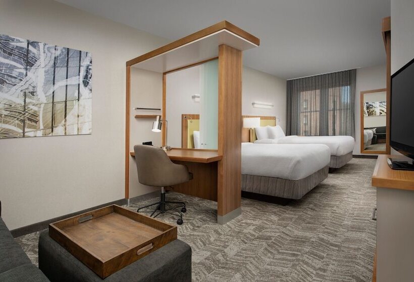 Springhill Suites By Marriott Huntsville West/research Park