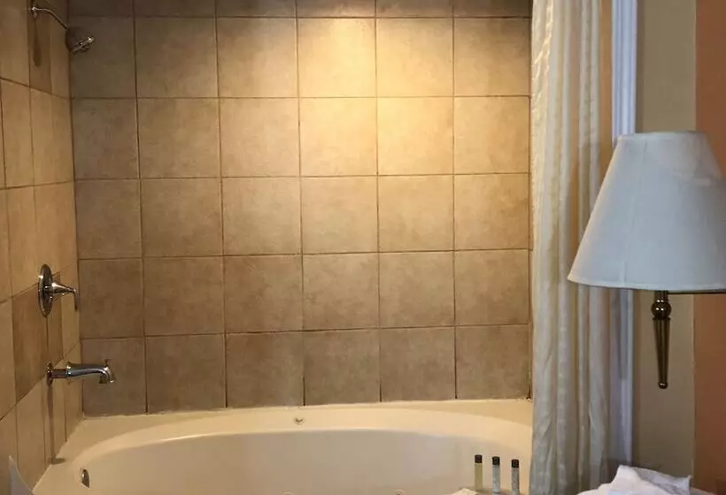 Hotelli Alpine Inn & Spa