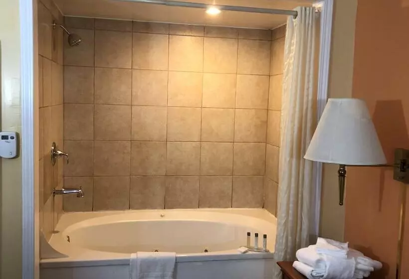 Hotelli Alpine Inn & Spa