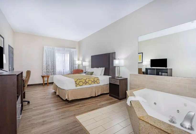 酒店 Baymont By Wyndham Midway Tallahassee