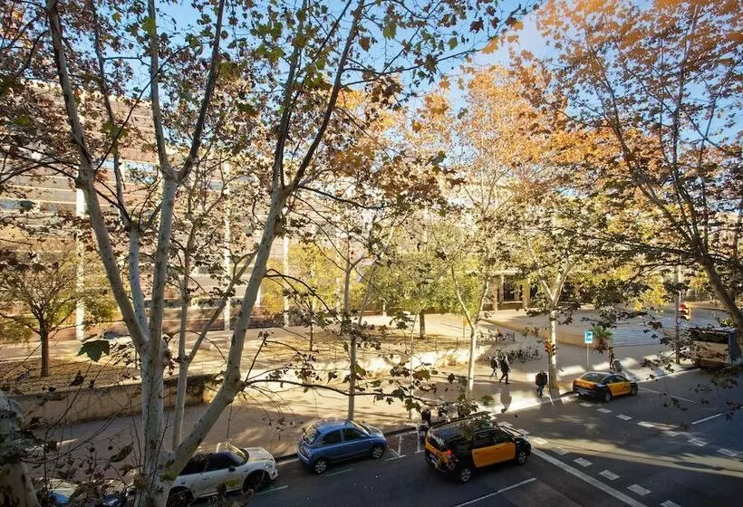 Отель Green House