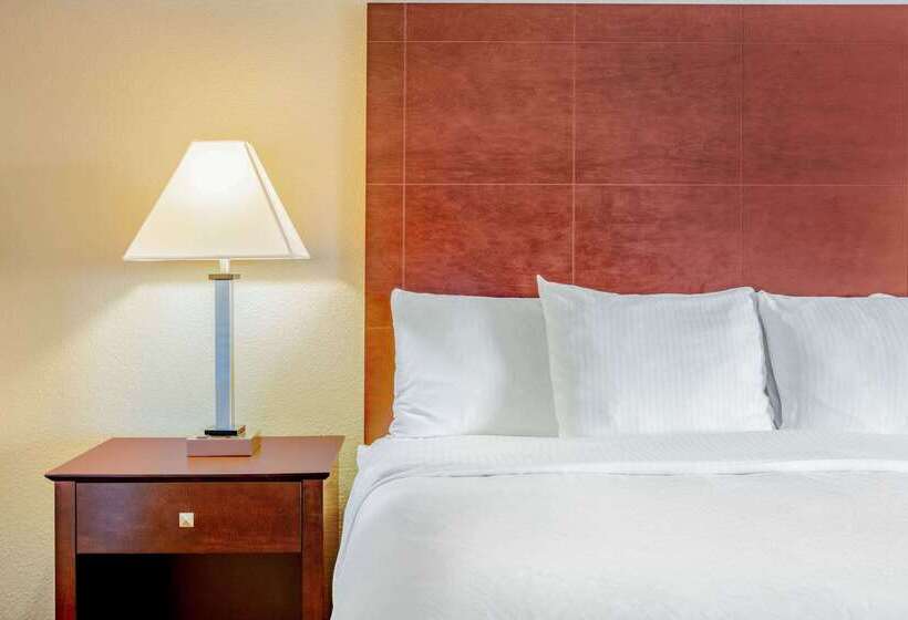 فندق La Quinta By Wyndham Mckinney