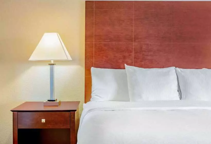 هتل La Quinta By Wyndham Mckinney