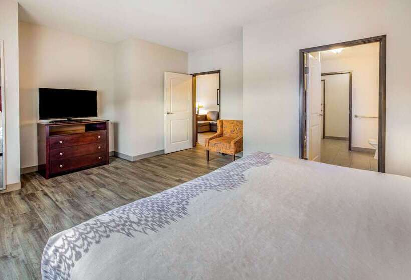 فندق La Quinta By Wyndham Mckinney