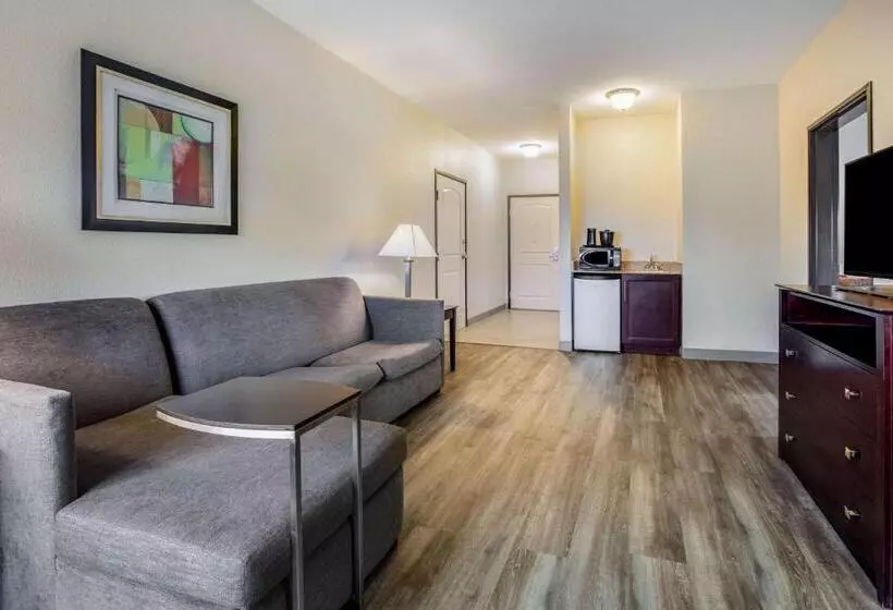 هتل La Quinta By Wyndham Mckinney