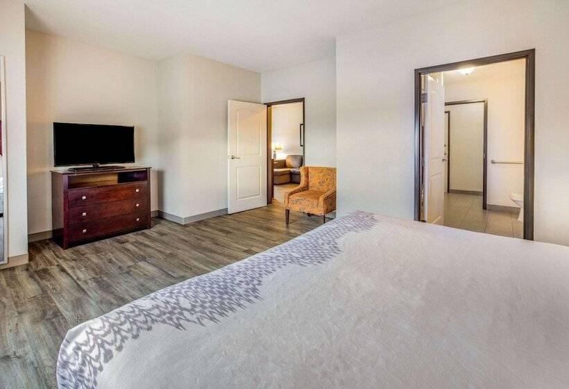 فندق La Quinta By Wyndham Mckinney