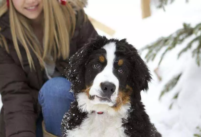 リゾートホテル Montage Deer Valley