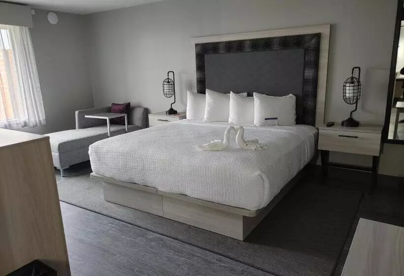 Hotel Aiden By Best Western South Reno