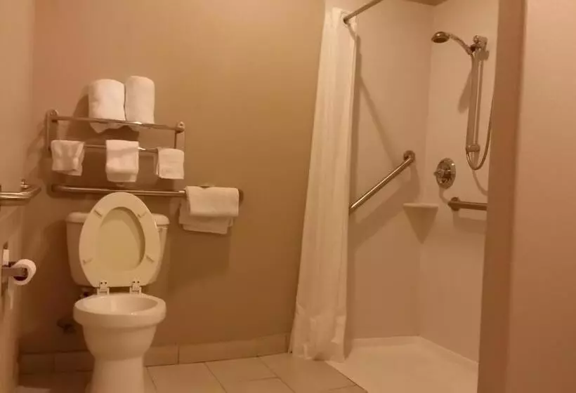 Отель Atria Inn & Suites