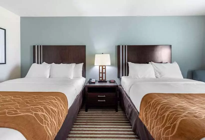 酒店 Comfort Inn & Suites Perry I35