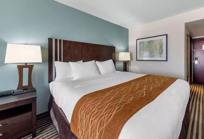 酒店 Comfort Inn & Suites Perry I35