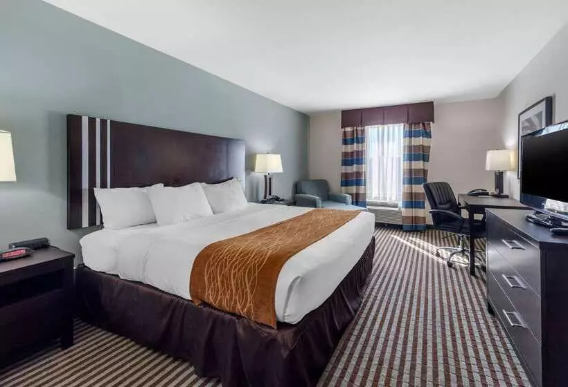 酒店 Comfort Inn & Suites Perry I35