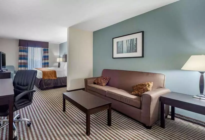 酒店 Comfort Inn & Suites Perry I35