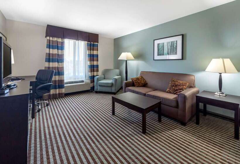 Otel Comfort Inn & Suites Perry I35