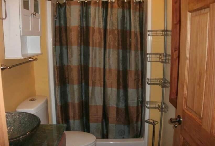 호텔 Cool Springs Inn