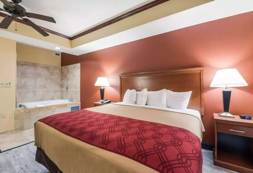 ホテル Econo Lodge Inn & Suites Little Rock Sw