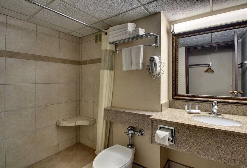 فندق Everspring Inn