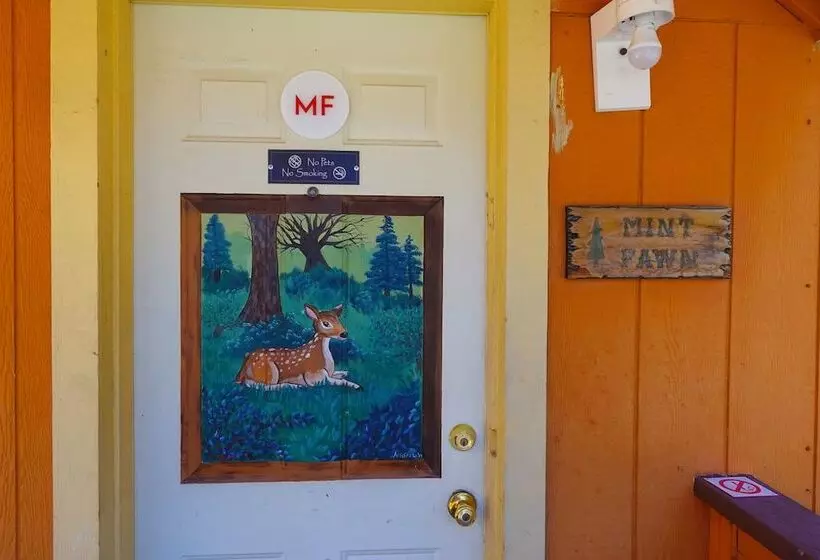 ホテル Sleepy Hollow Cabins And