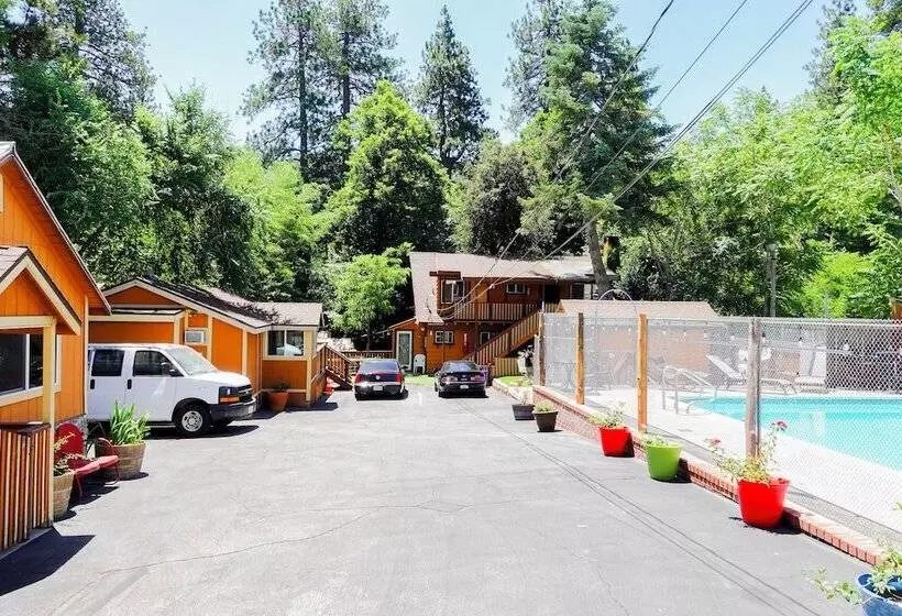 ホテル Sleepy Hollow Cabins And