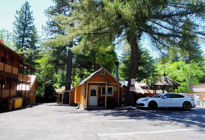 ホテル Sleepy Hollow Cabins And