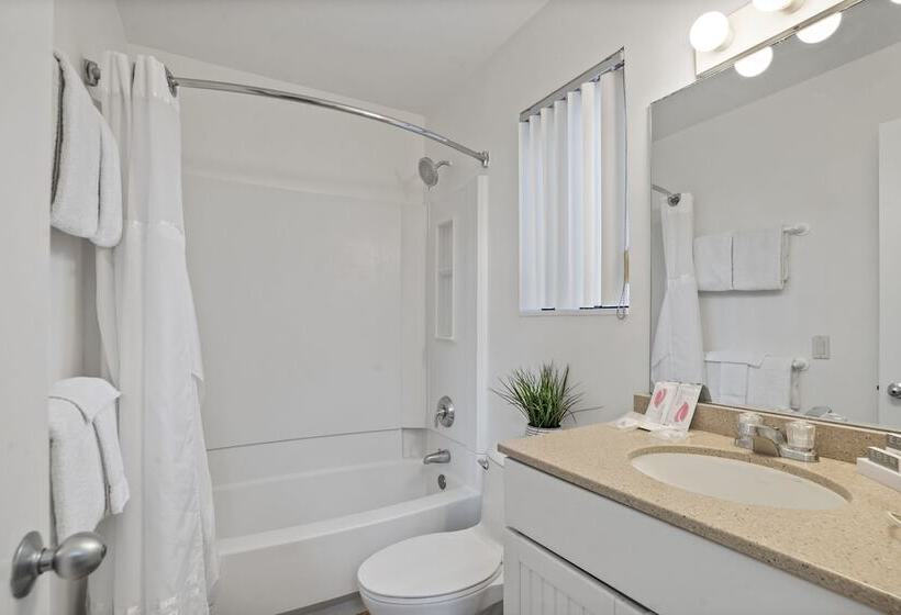 渡假胜地  The Surf Club