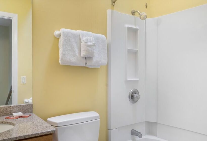 渡假胜地  The Surf Club