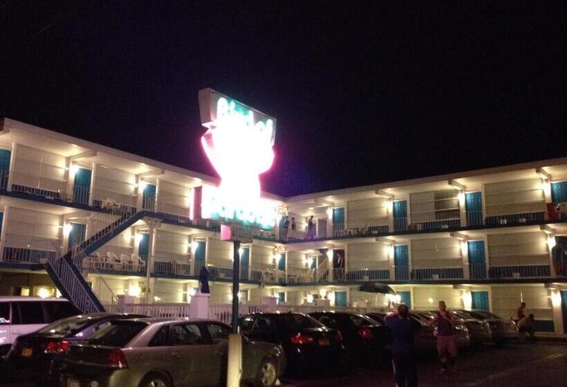 Bird Of Paradise Motel