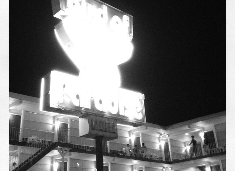 Bird Of Paradise Motel