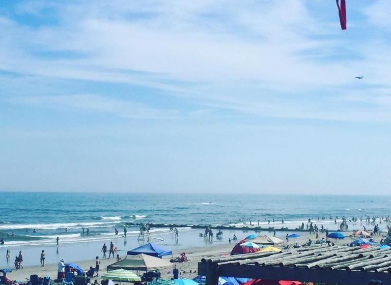 Bird Of Paradise Motel