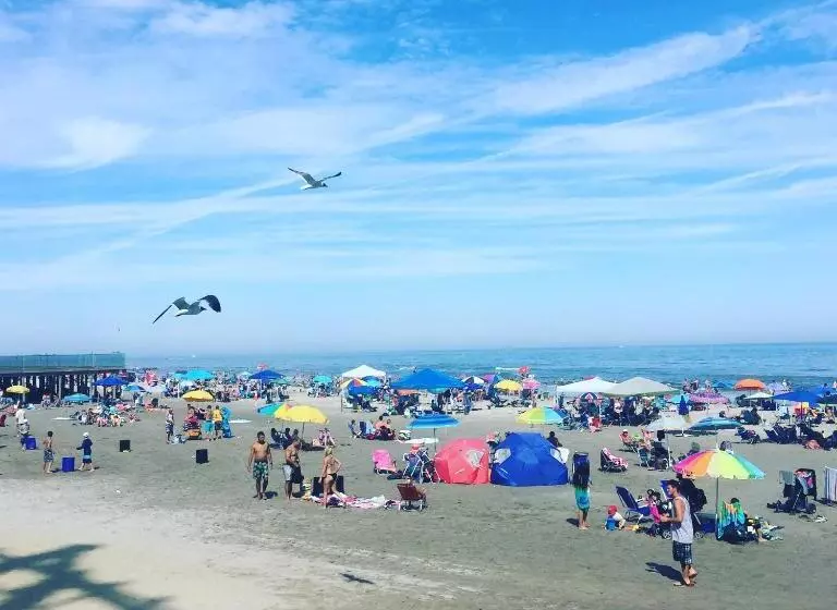 Bird Of Paradise Motel