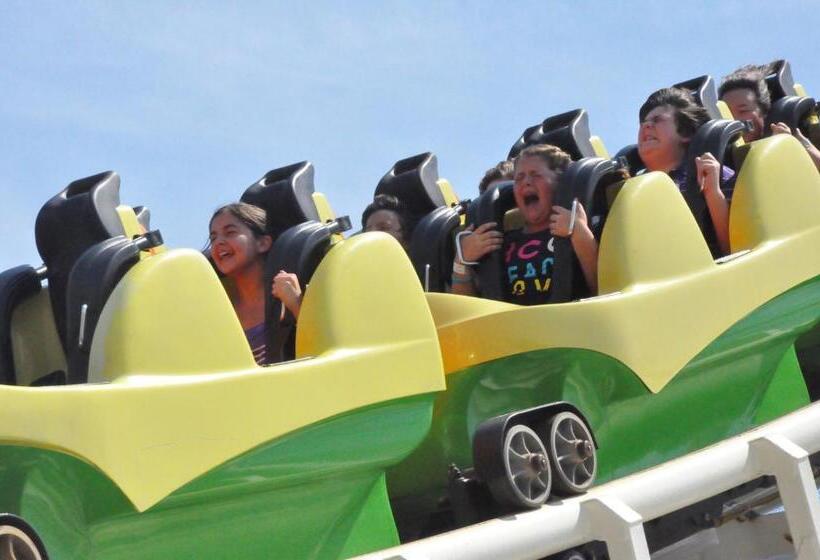 Bird Of Paradise Motel