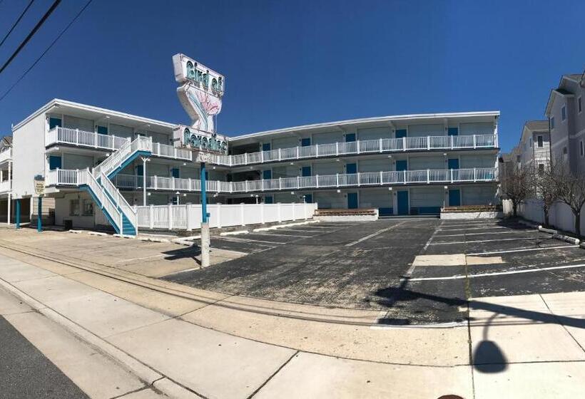 Bird Of Paradise Motel