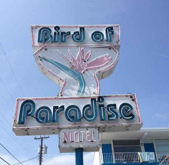 Bird Of Paradise Motel