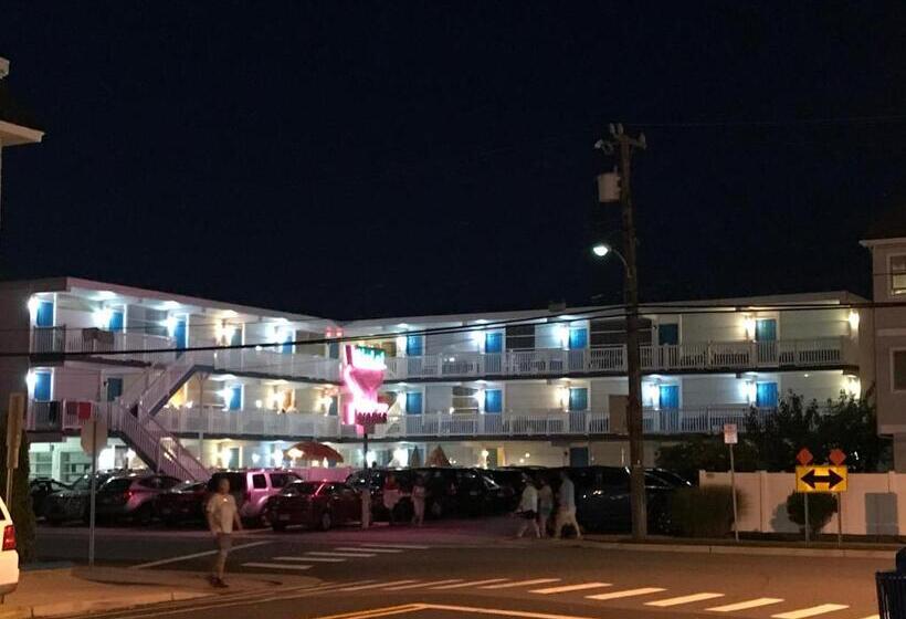 Bird Of Paradise Motel