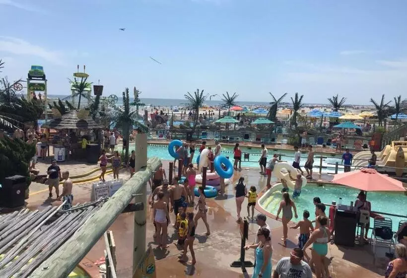 Bird Of Paradise Motel