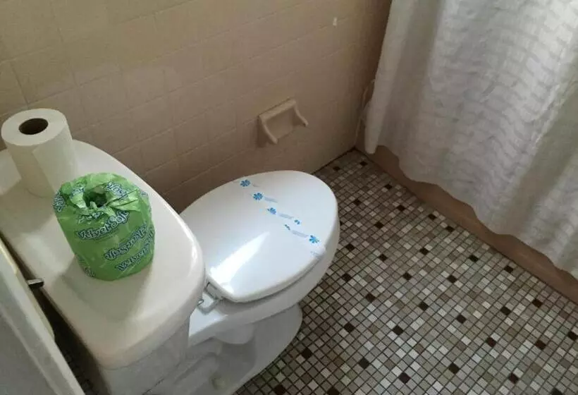 Bird Of Paradise Motel