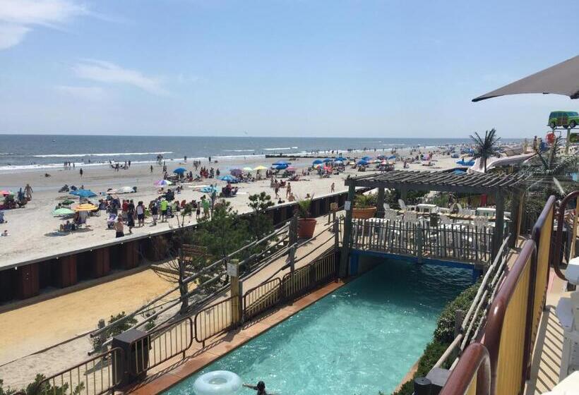 Bird Of Paradise Motel