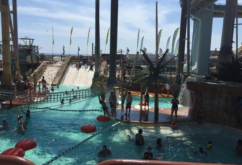 Bird Of Paradise Motel