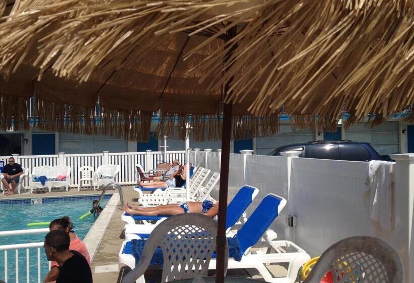 Bird Of Paradise Motel