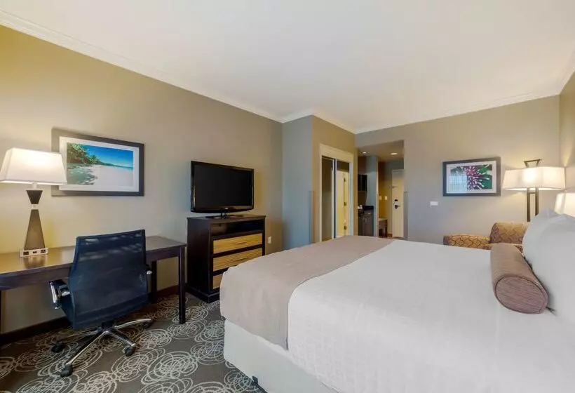 Best Western Plus Miami Airport North Hotel & Suites