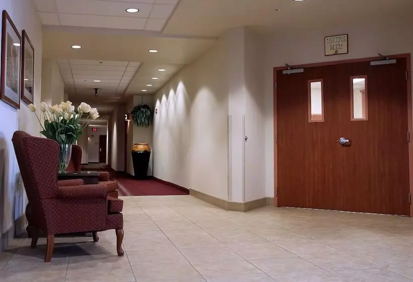 酒店 Garden Place Suites