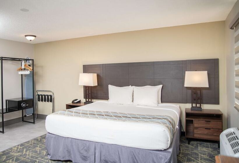 모텔 Surestay Plus By Best Western Montrose