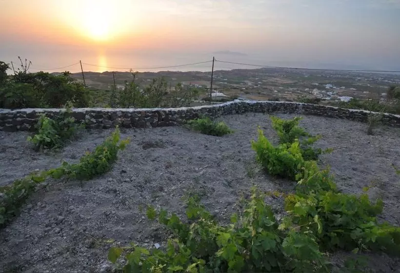 Villa Vinea Santorini