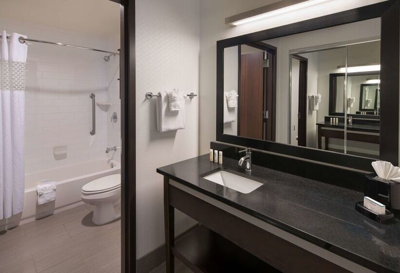 Hampton Inn & Suites Denver Downtownconvention Center