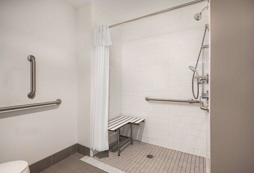 Hampton Inn & Suites Denver Downtownconvention Center