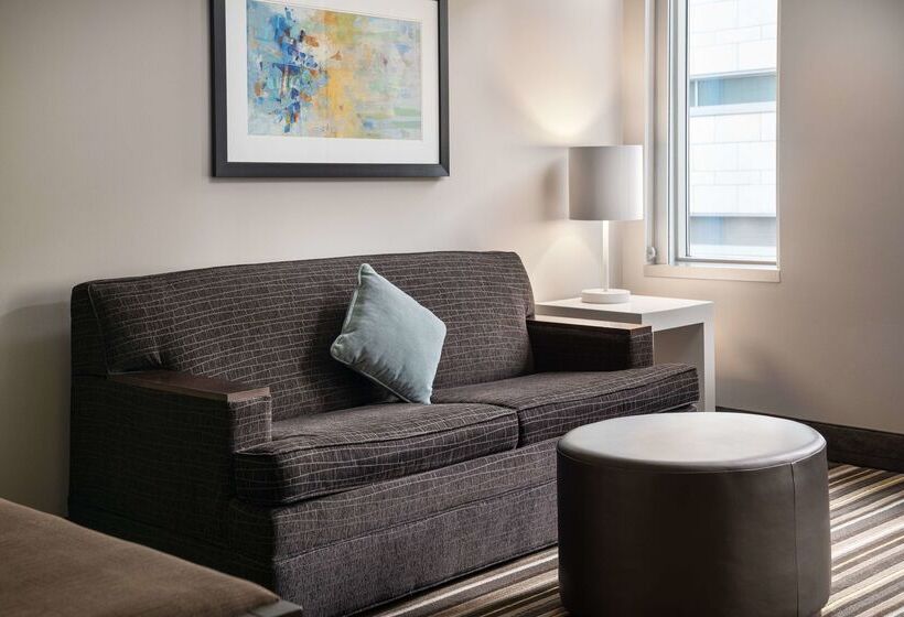 Hampton Inn & Suites Denver Downtownconvention Center